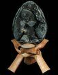 Septarian Dragon Egg Geode - Black Crystals #71988-1